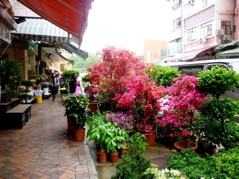 Flower Market HongKong