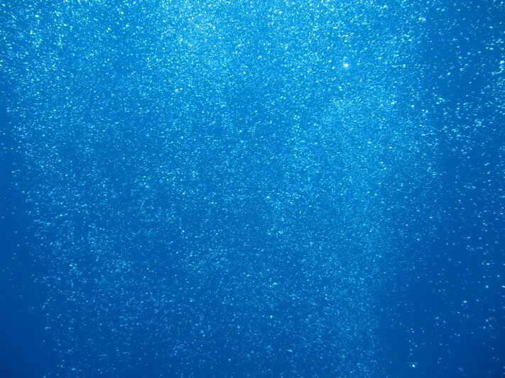 IMG 0477 Красота подводного мира острова Панглао
