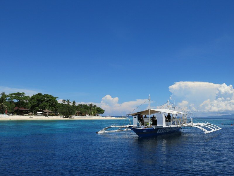 IMG 0542 Красота подводного мира острова Панглао