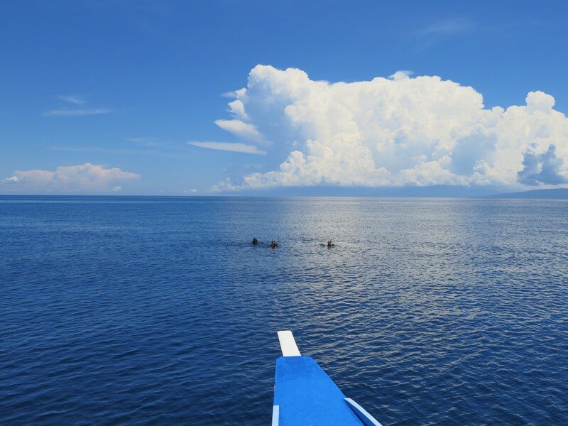 IMG 0545 Красота подводного мира острова Панглао