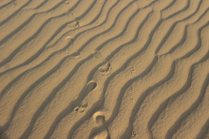 песчаные дюны вьетнам