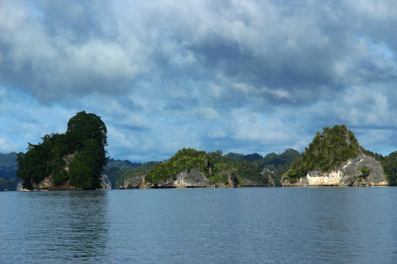 Папуа Индонезия