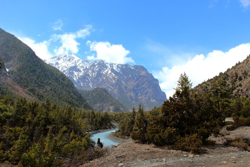 Треккинг в Гималаях